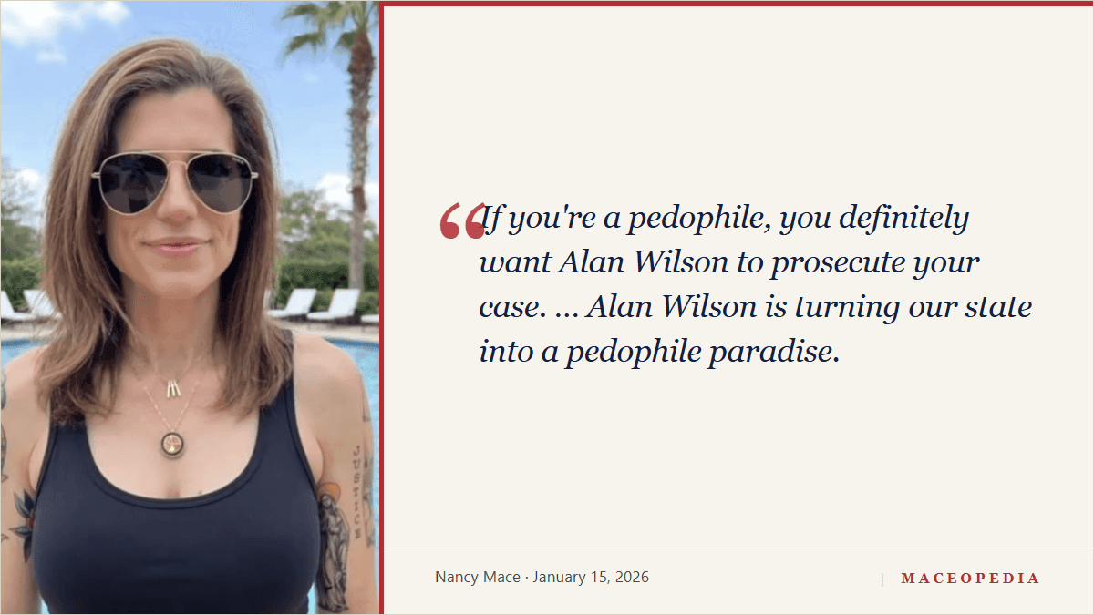 Mace attacks AG Alan Wilson: 'If you're a pedophile, you definitely want Alan Wilson to prosecute your case': image 1