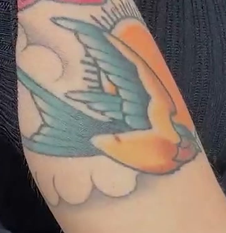 Close-up of a traditional swallow tattoo in teal and orange, wings spread, flying through clouds on Nancy Mace's forearm, from TMZ's September 1, 2026 Capitol Hill clip.